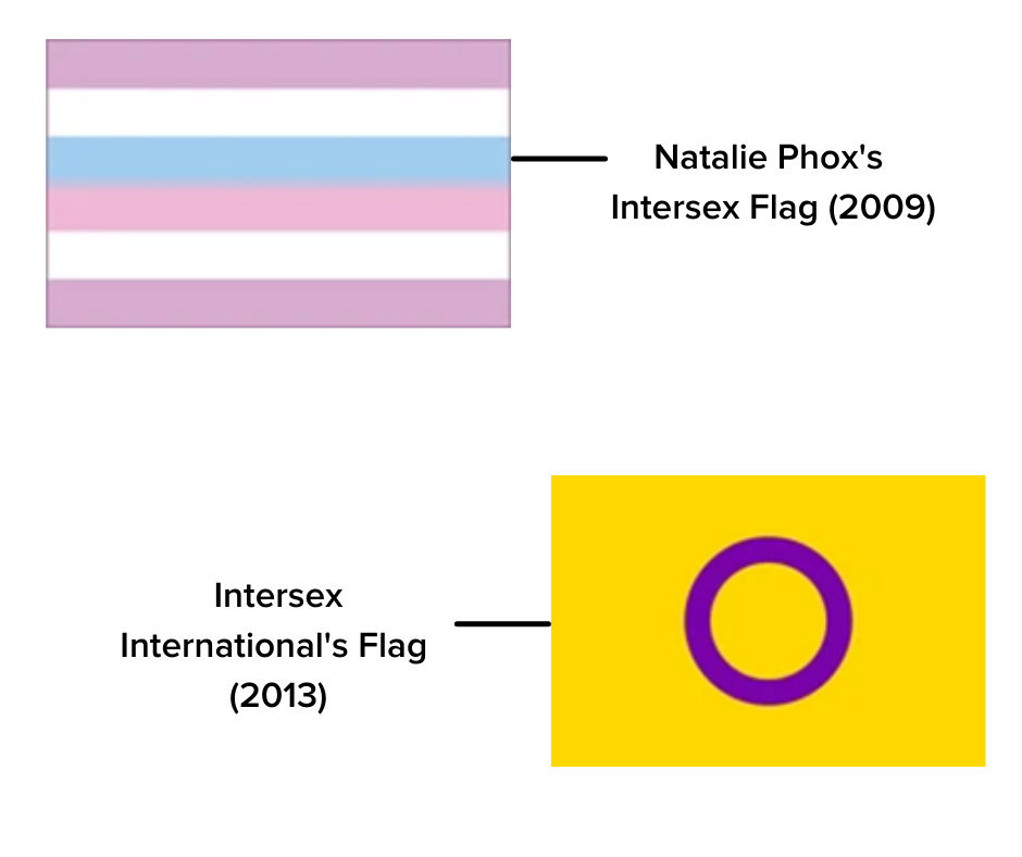 Two flags, top left labelled Natalie Phox's Intersex Flag (2009) a 6 striped flag of light purple, white, light blue, light pink, white, light purple. Bottom right, a yellow flag with a purple ring labelled Intersex International's Flag (2013)
